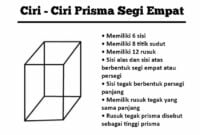 ciri ciri prisma segi empat