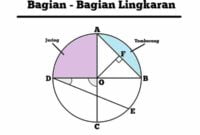 bagian bagian lingkaran