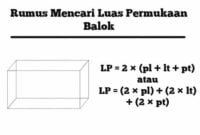 rumus luas permukaan balok