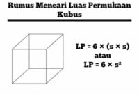 rumus luas permukaan kubus
