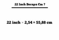 22 inch berapa cm
